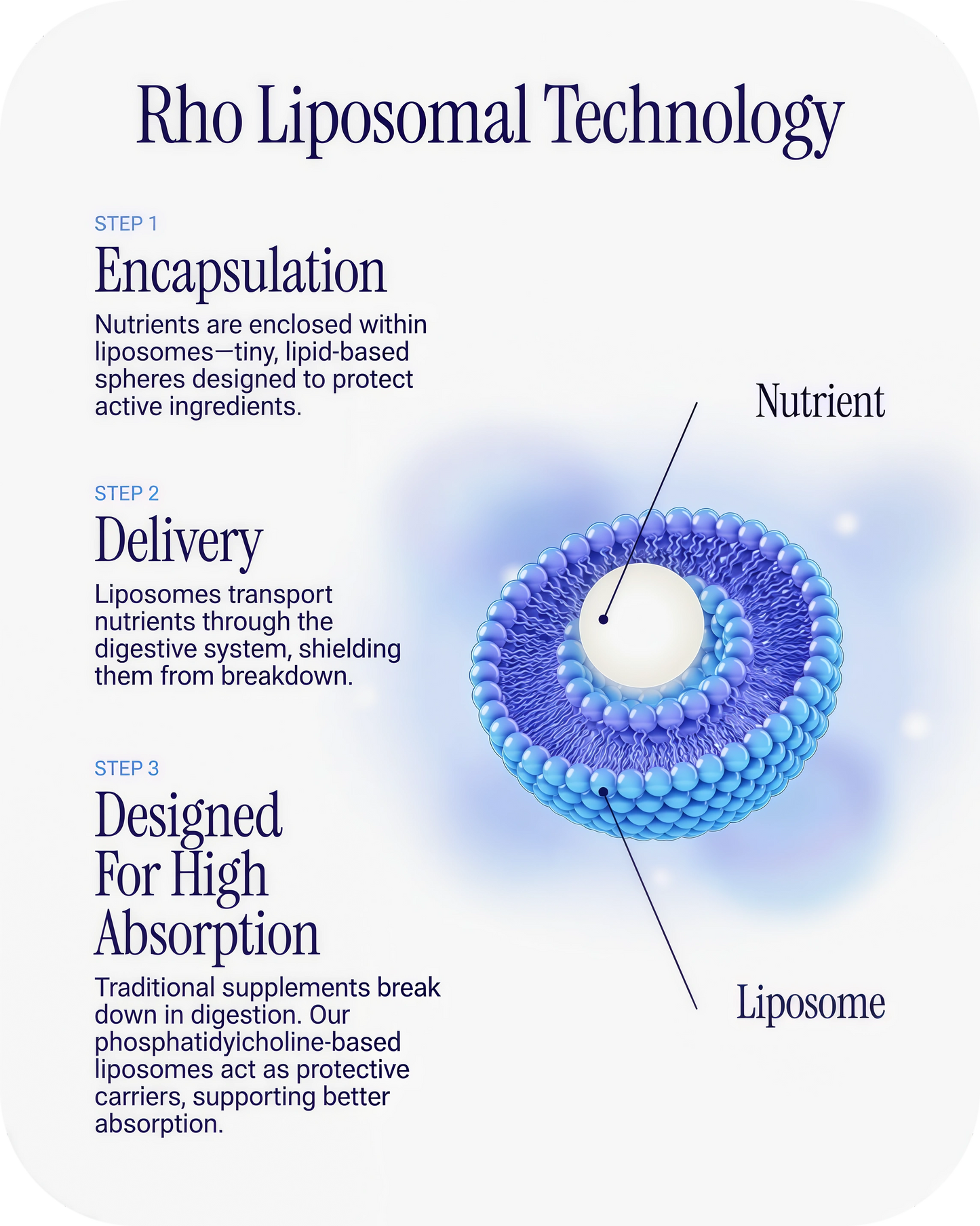 Liposomal Collagen Peptides