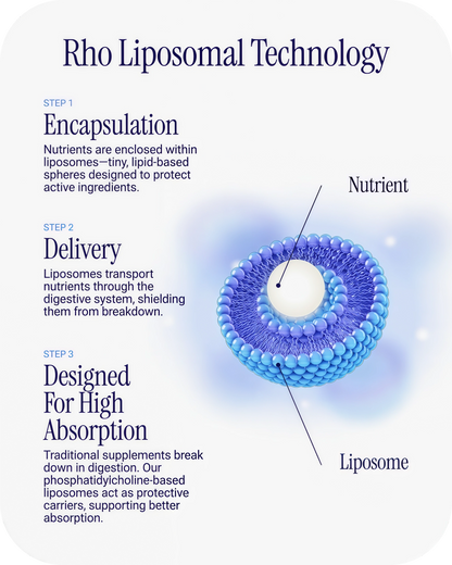Liposomal Collagen Peptides